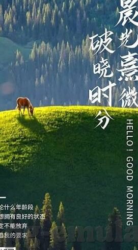巴甲足球比分-巴甲烽火再燃，比分背后的战术博弈与球星风采