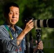 国际足球比分直播-实时追踪国际足球比分直播，绿茵场上的心跳加速器