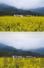 捷报比分网足球预测-捷报比分网足球预测，精准洞察赛场风云，助力球迷智慧决策