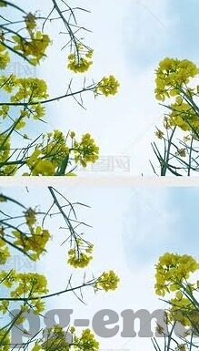 足球比分和直播-足球比分与直播，绿茵场上的数字交响曲